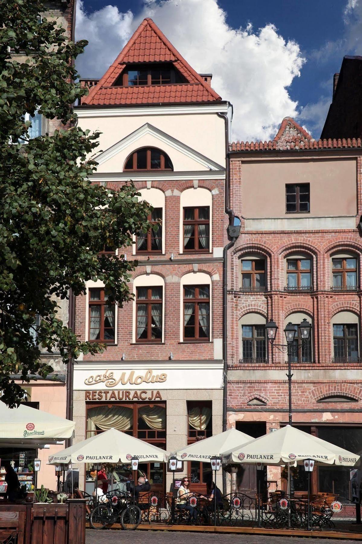 Molus Na Rynku Staromiejskim Torun